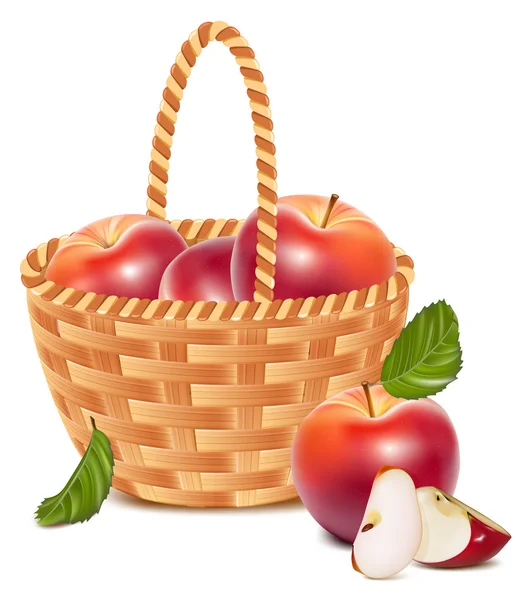 Red ripe apples in the basket. — Stock Vector