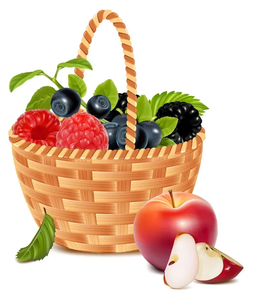 Berries in the basket and apples. — Stock Vector