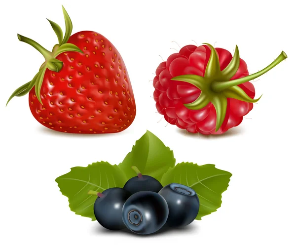 Erdbeere, Himbeere und Blaubeeren — Stockvektor