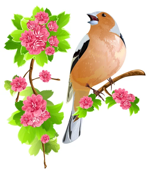 Птах на квітковій гілці — стоковий вектор