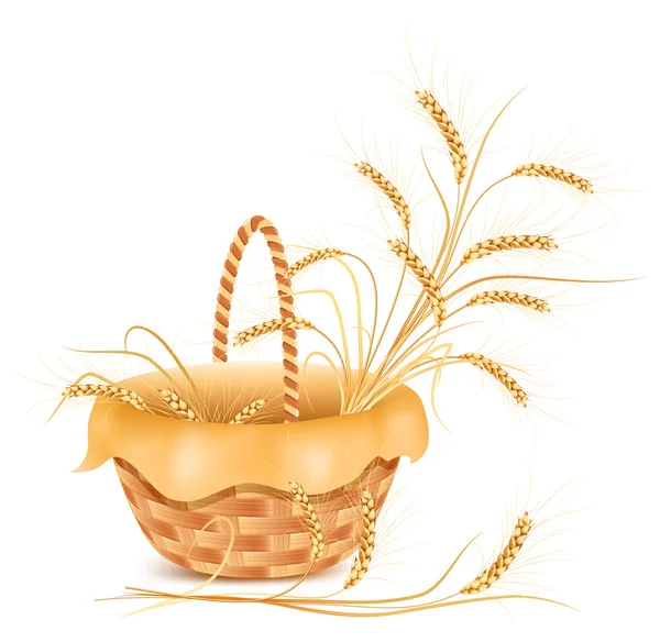 Ears of wheat in the basket. — Stock Vector