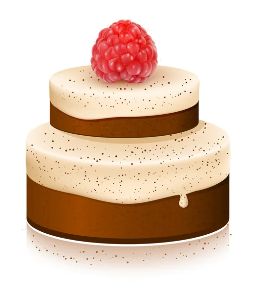 Kue dengan raspberry matang - Stok Vektor