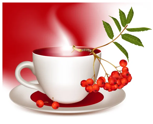 Xícara de chá e ashberry maduro . — Vetor de Stock