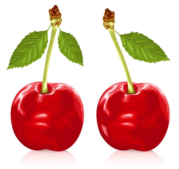 Cerejas vermelhas maduras com folhas — Vetor de Stock