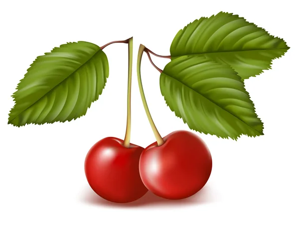 Vector ripe cherries with leaves — Stock Vector