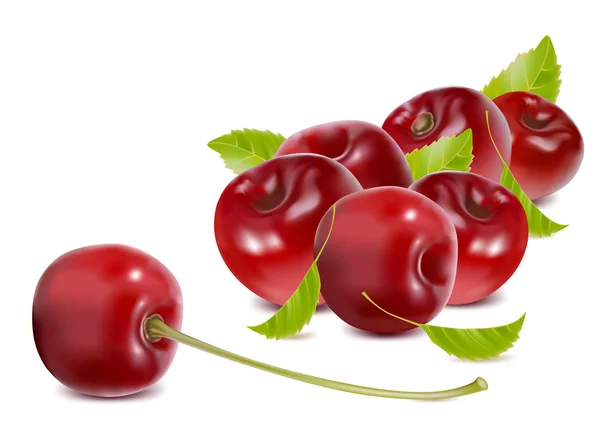 Cerezas maduras con hojas . — Vector de stock