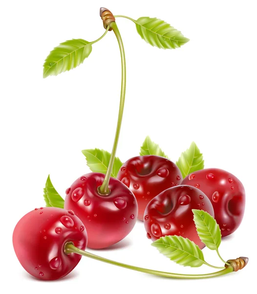 Cerezas rojas maduras — Vector de stock