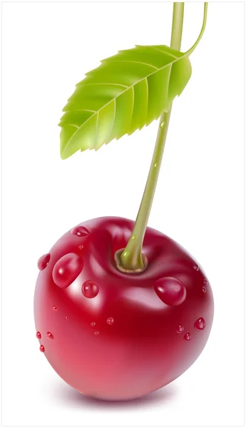Cherry with water drops and leaves — Stock Vector