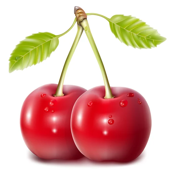 Cerezas vectoriales — Vector de stock