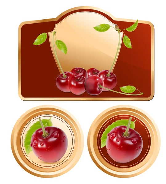 Photo-realistic vector cherries — Stock Vector