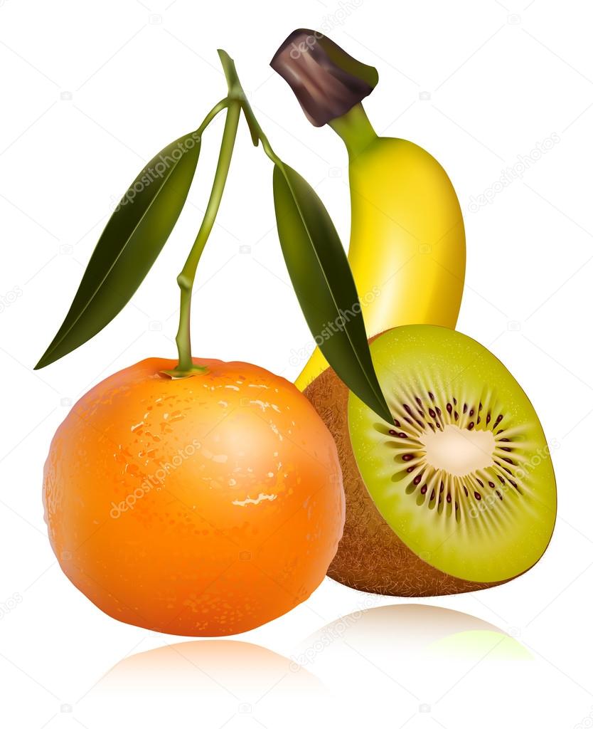 Vector of tropical fruits
