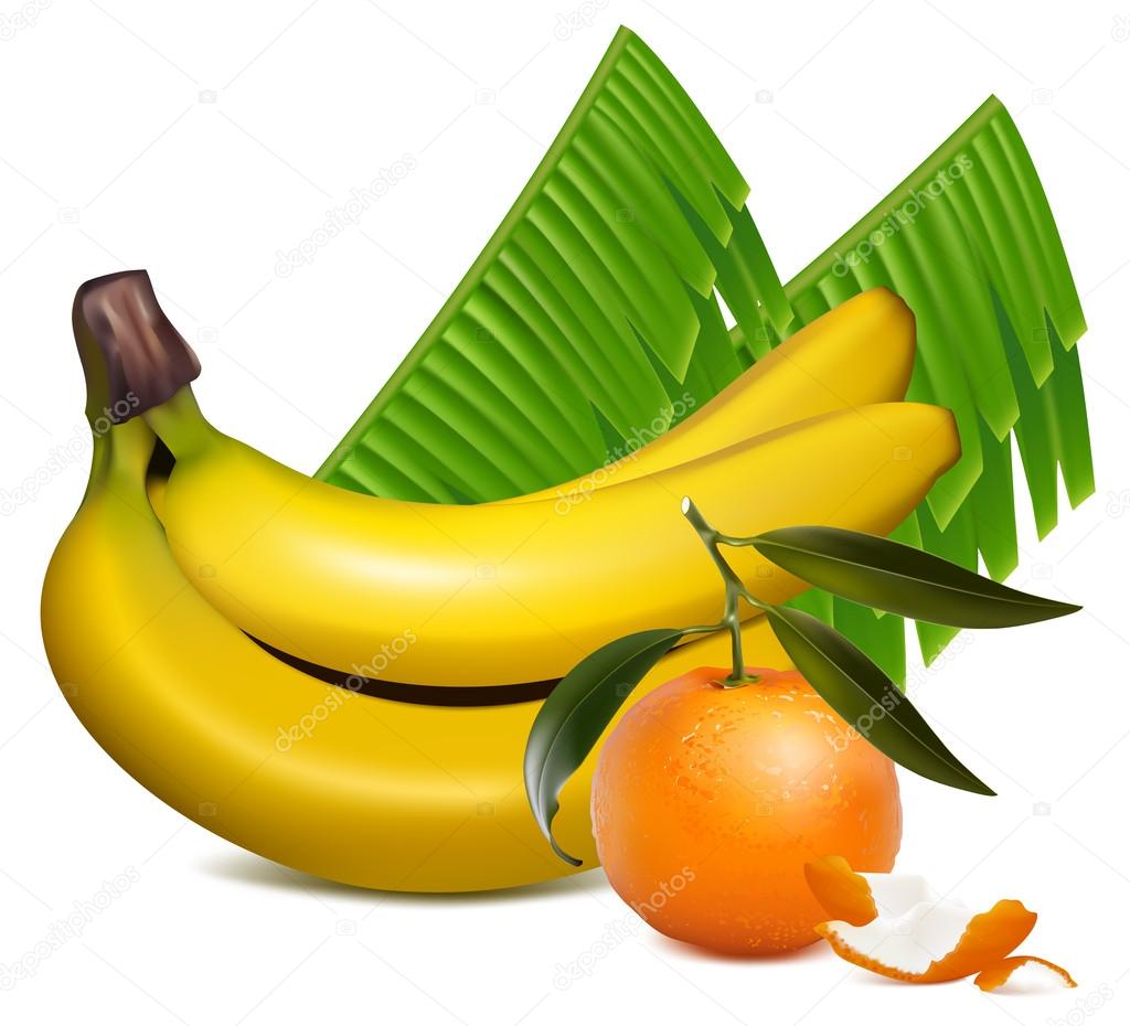 Tangerine fruits and bananas