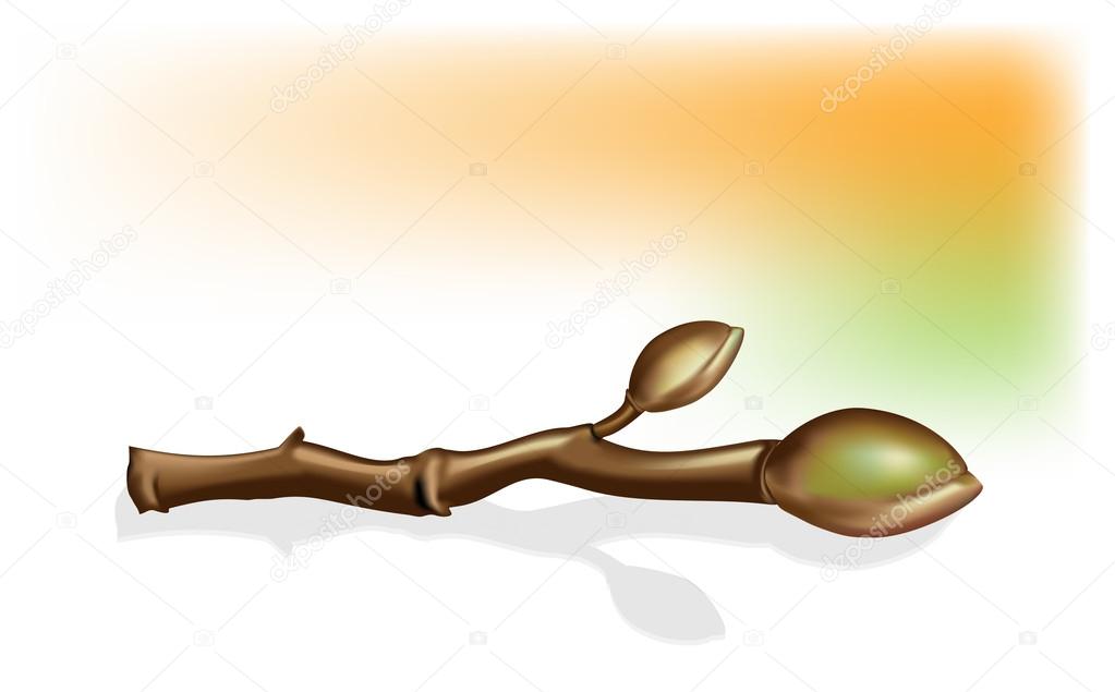 Vector illustration of a tree branch