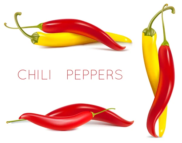 Vector gekleurde hot chili peppers. — Stockvector