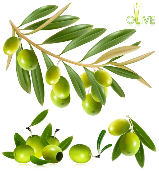 Зеленые оливки с листьями . — стоковый вектор