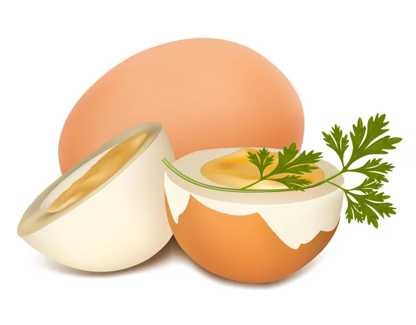 Hnědá vařené vejce — Stockový vektor