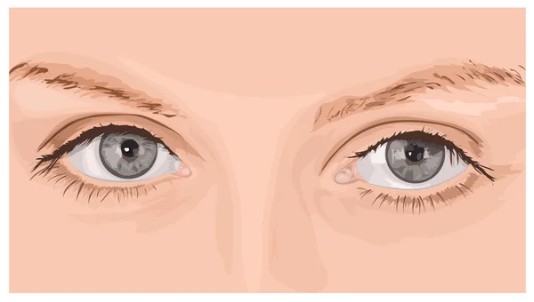 Occhi bellissimi — Vettoriale Stock