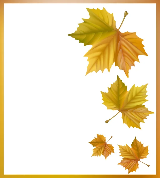 Feuilles d'automne jaunes. — Image vectorielle