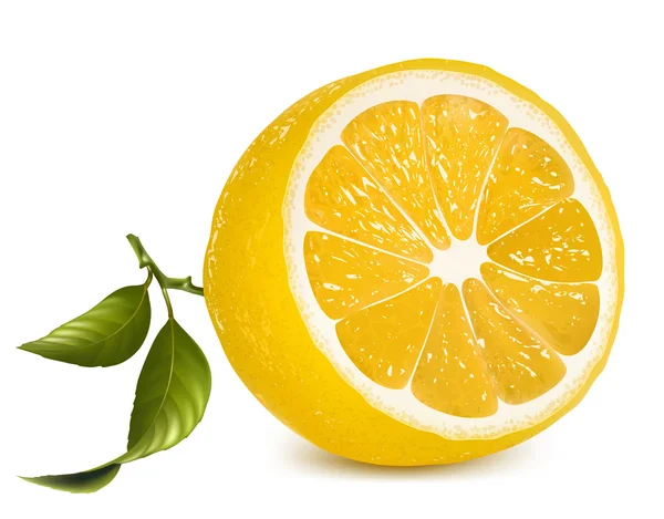 Frische Zitrone mit Blättern. — Stockvektor