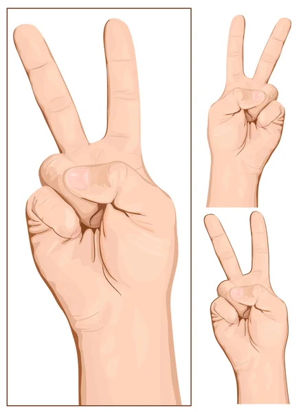 Hand gesture — Stock Vector