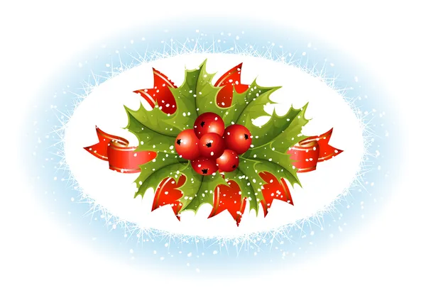 Christmas holly with berries — Stock Vector