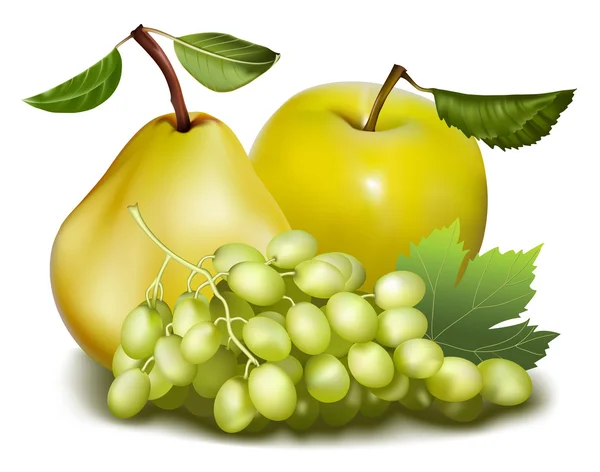 Vecteur. Fruits . — Image vectorielle