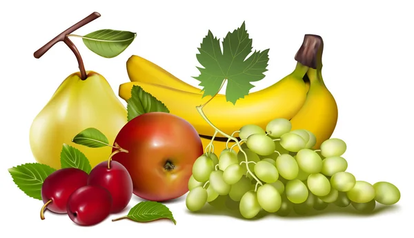 Ilustración vectorial. Frutas . — Vector de stock