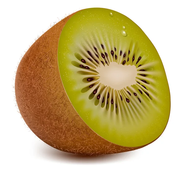 Vettore foto-realistico. Kiwi — Vettoriale Stock