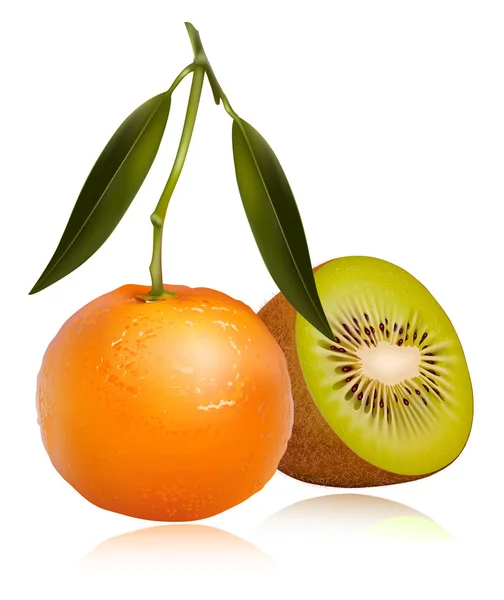 Frische Mandarinenfrüchte — Stockvektor