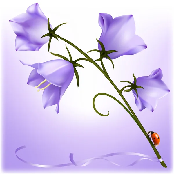Bluebell with ladybug. — Stock Vector