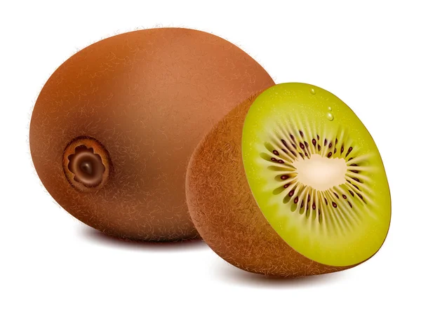 Fotorealistische Vektor. Kiwi. — Stockvektor