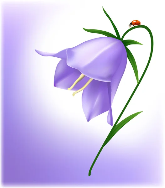 Bluebell con mariquita . — Vector de stock