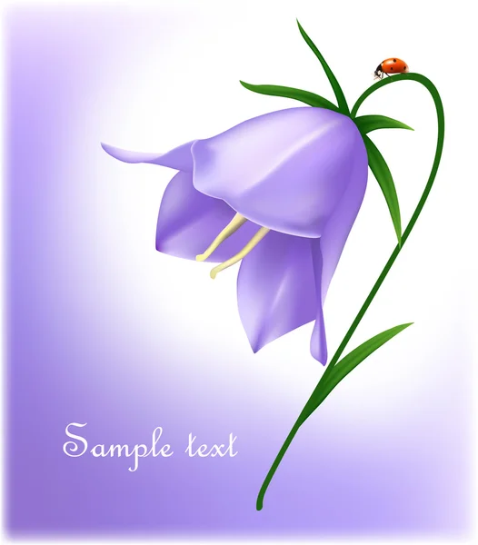 Bluebell with ladybug. — Stock Vector