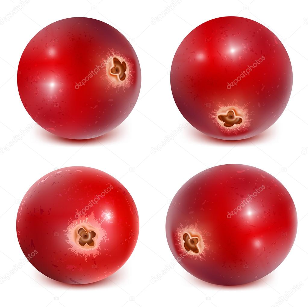 Ripe red cranberries