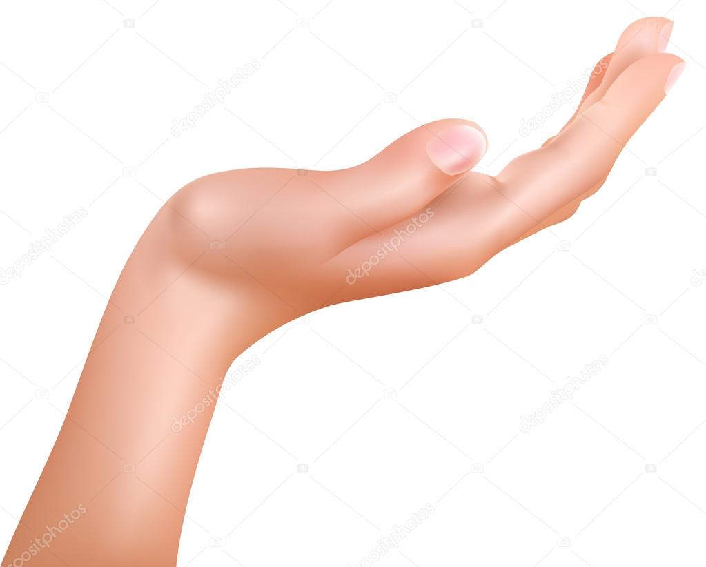 Vector human hand held up.