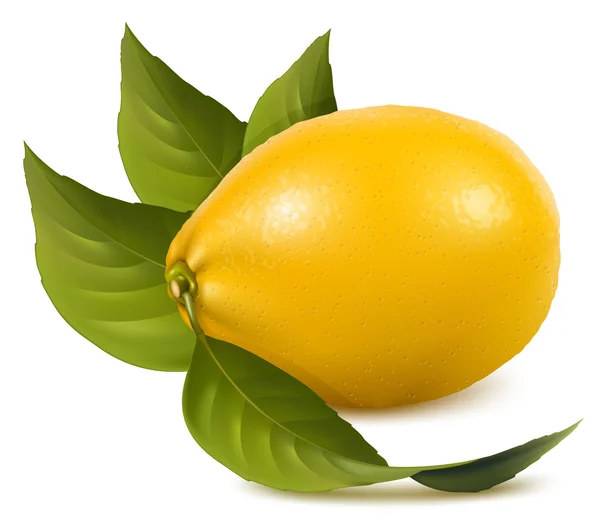 Citrons frais — Image vectorielle