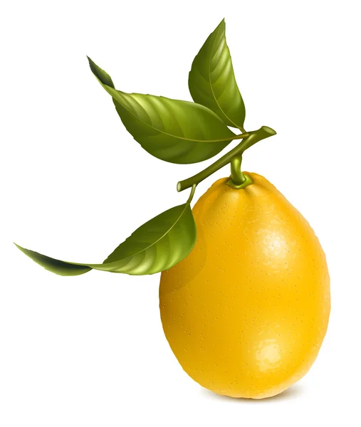 Limões frescos — Vetor de Stock