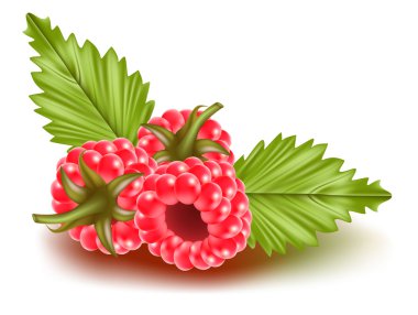 Ahududu yaprakları ile