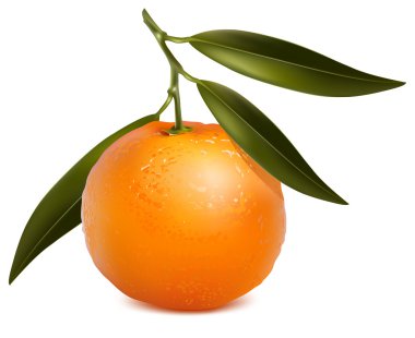 Mandarin yaprakları ile.
