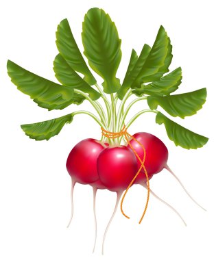 turp demet.