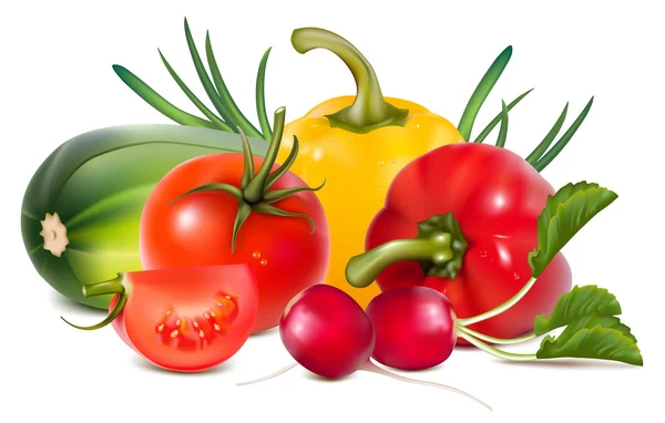 Färgglada färska grupp av grönsaker. — Stock vektor
