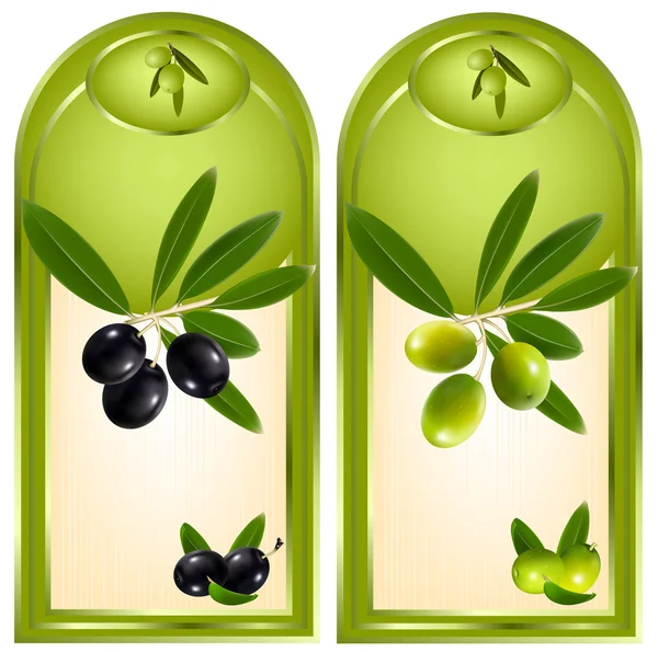 Oliwa z oliwek. — Wektor stockowy
