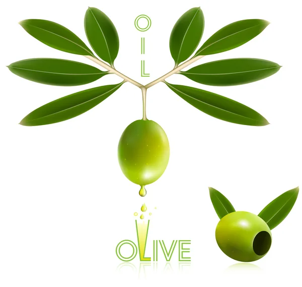 Green olives with leaves — Stock Vector