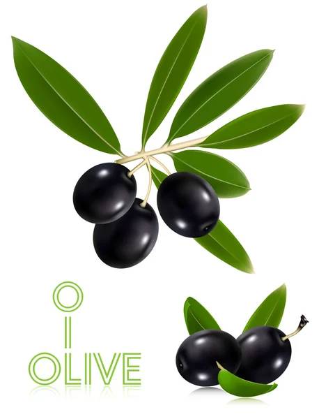 Aceitunas negras con hojas . — Vector de stock