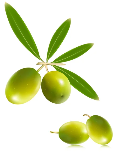 Зелені оливки з листям — стоковий вектор