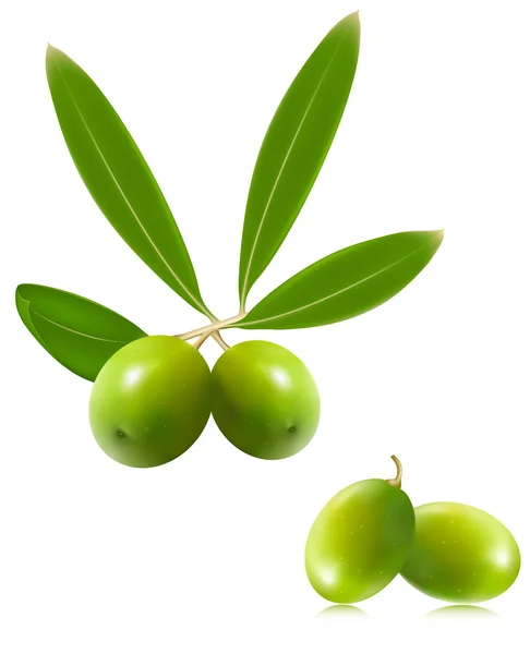 Green olives with leaves — Stock Vector