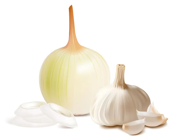 Onion and garlic. — Stock Vector