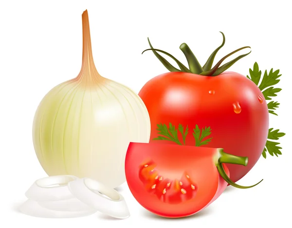 Oignons et tomates . — Image vectorielle