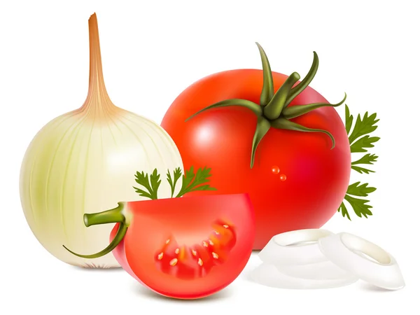 Cebollas y tomates . — Vector de stock