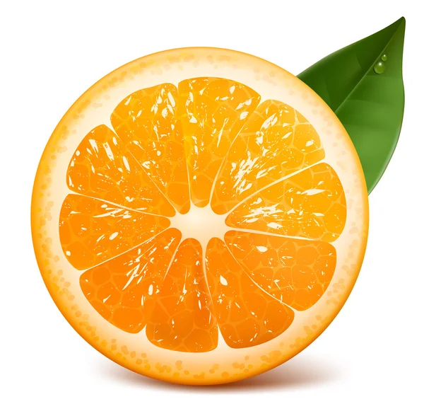 Vector fresh ripe orange — Stock Vector